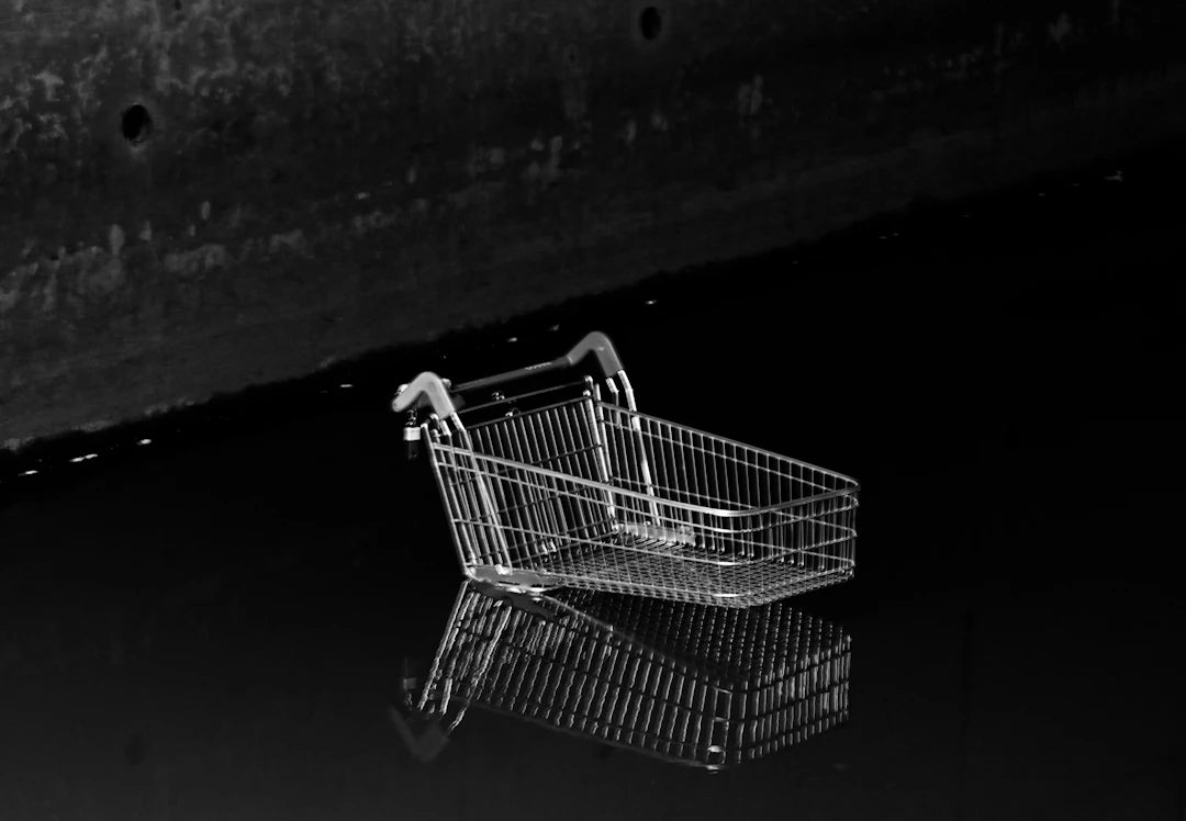 Subscription Models Revolutionizing E-commerce Today