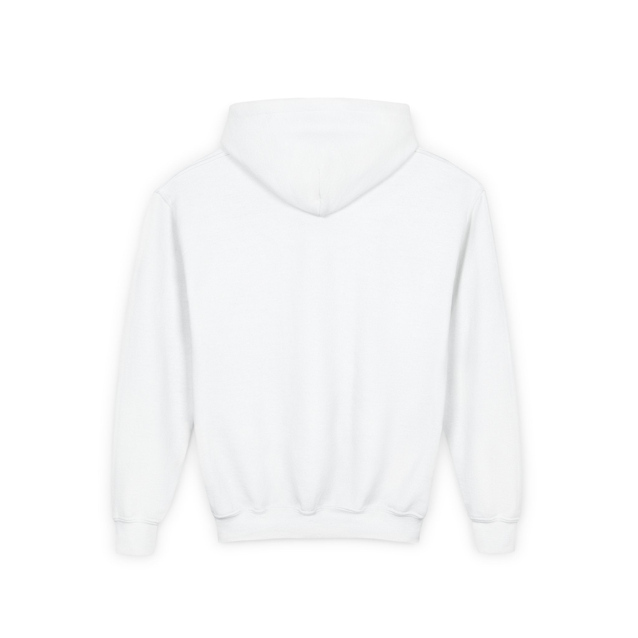 VYBZ "Aliens & Ghost" Youth Hooded Sweatshirt