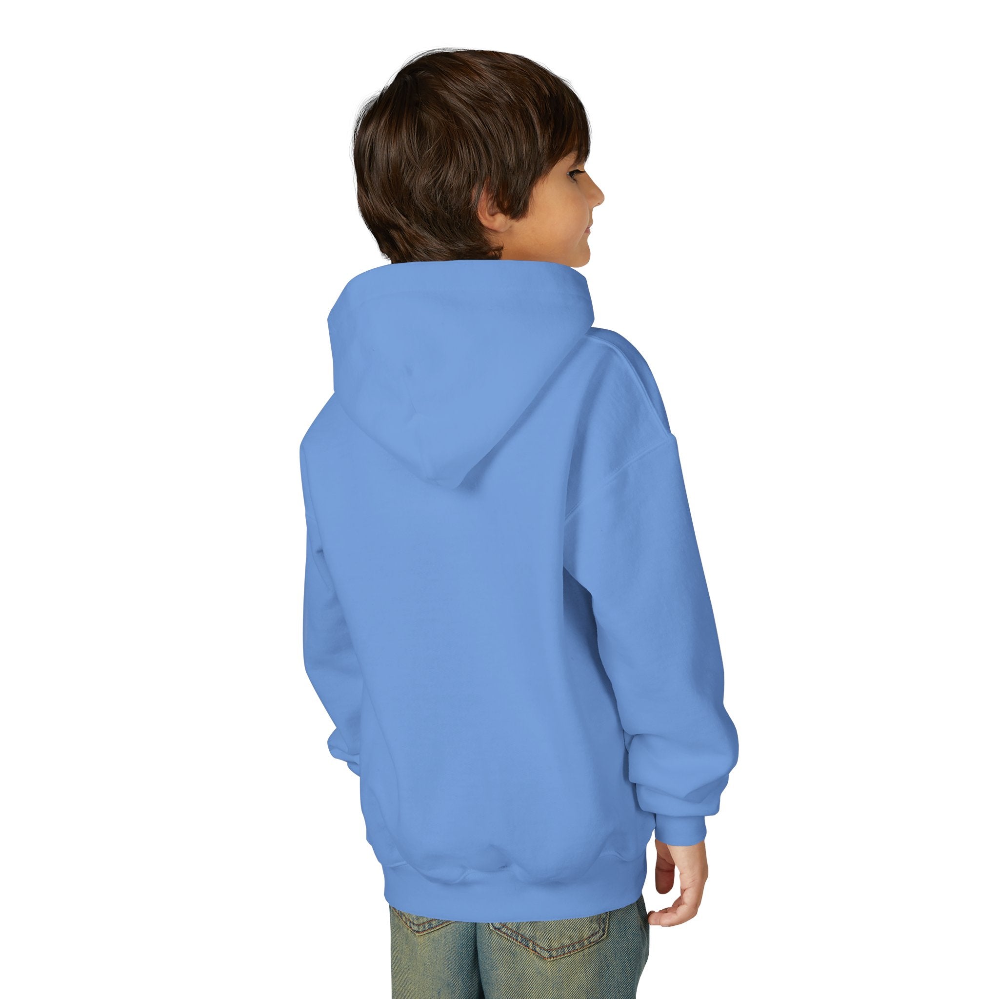 VYBZ "Aliens & Ghost" Youth Hooded Sweatshirt