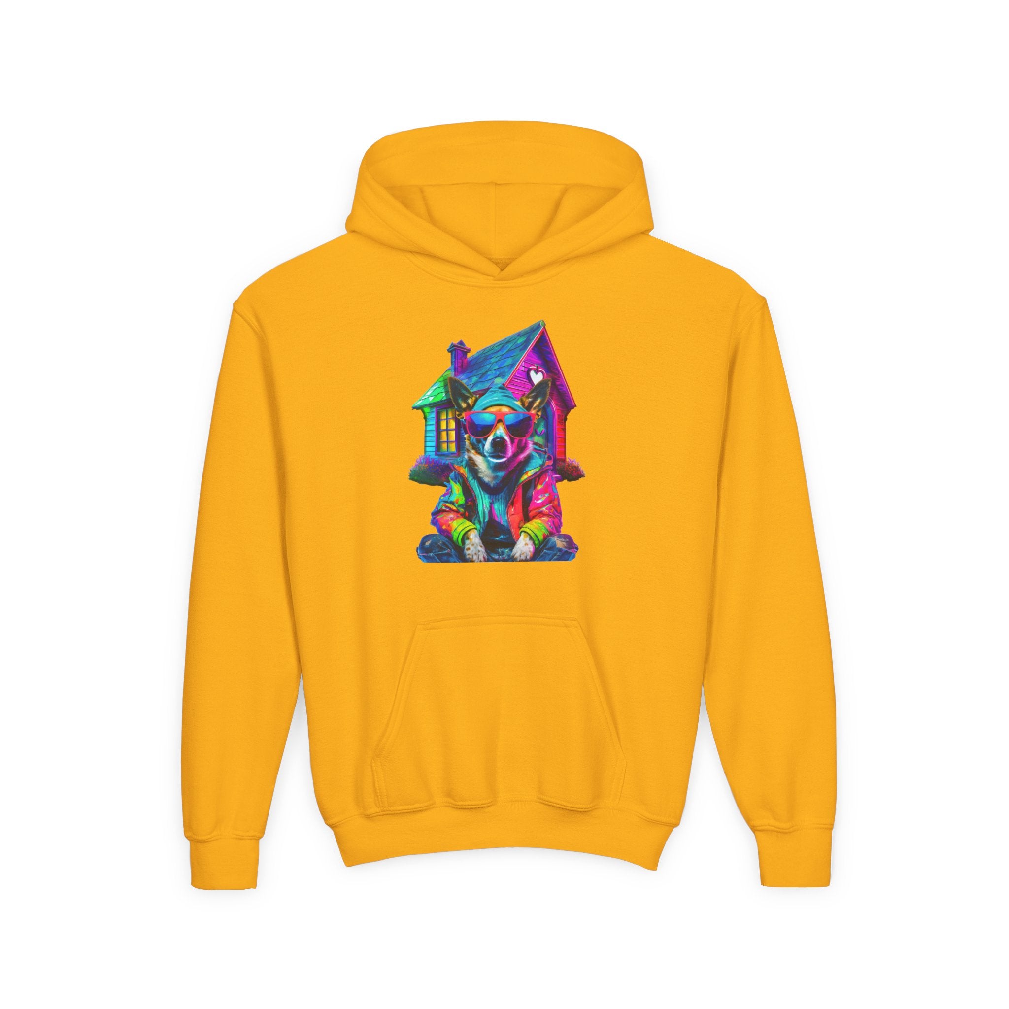 VYBZ Colorful Dog House Youth Hoodie