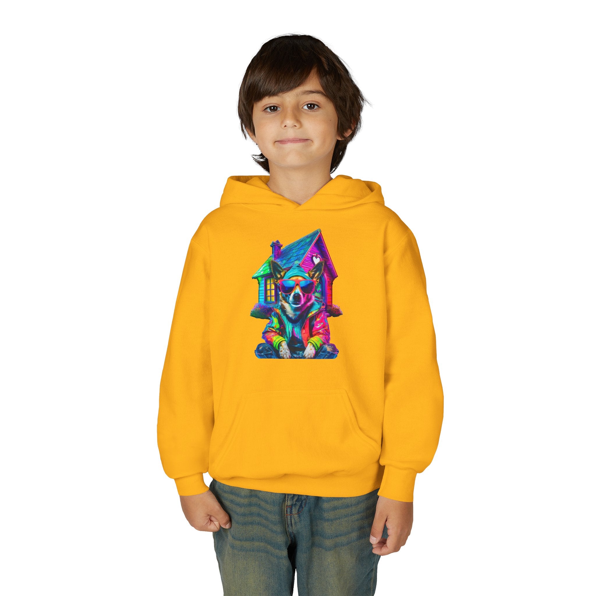 VYBZ Colorful Dog House Youth Hoodie