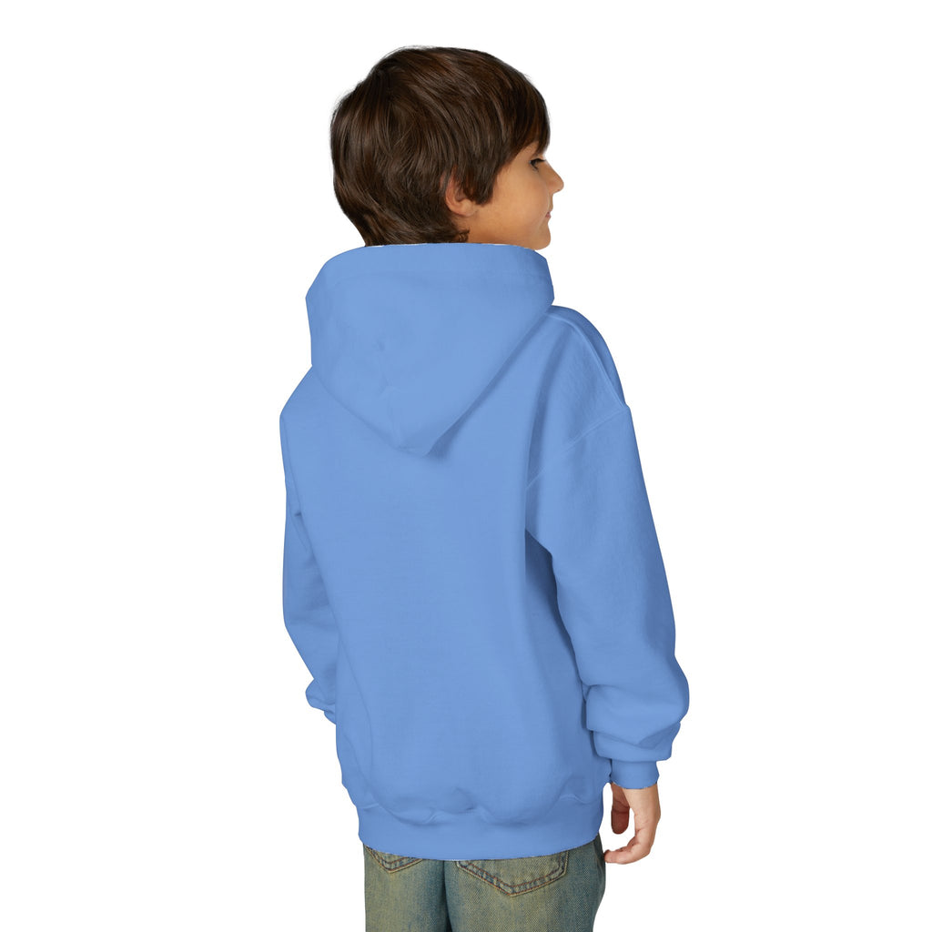 VYBZ Youth Hoodie - Stylish Heavy Blend Sweatshirt for Teens, Graphic Hooded Sweatshirt, Casual Streetwear, Birthday Gift