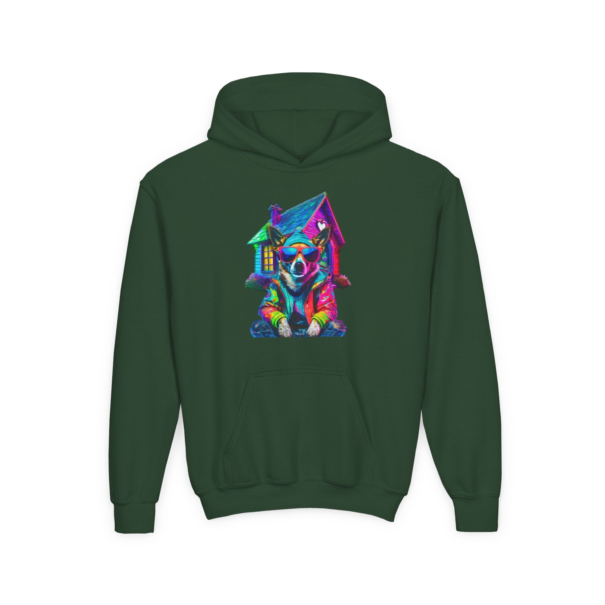 VYBZ Colorful Dog House Youth Hoodie