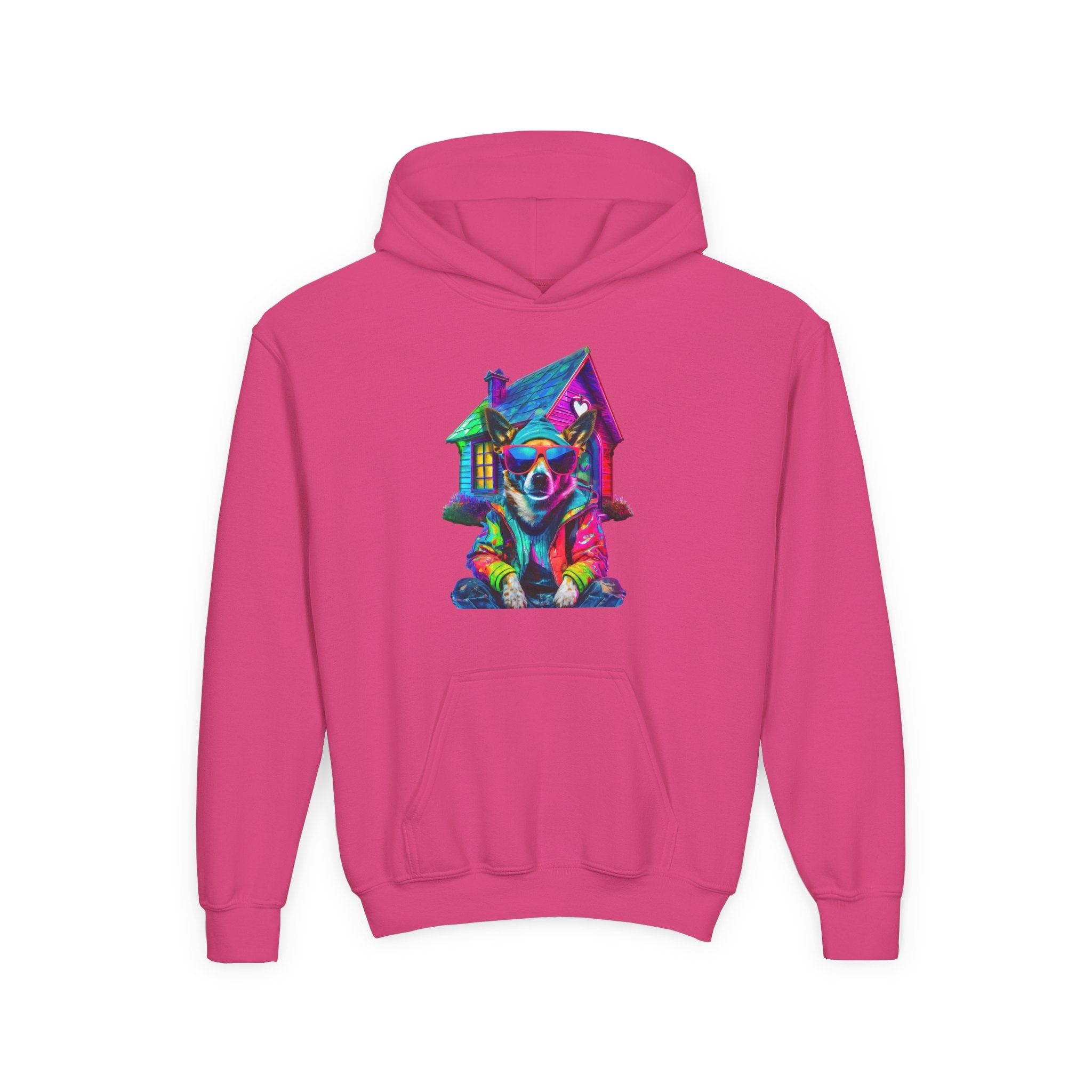 VYBZ Colorful Dog House Youth Hoodie