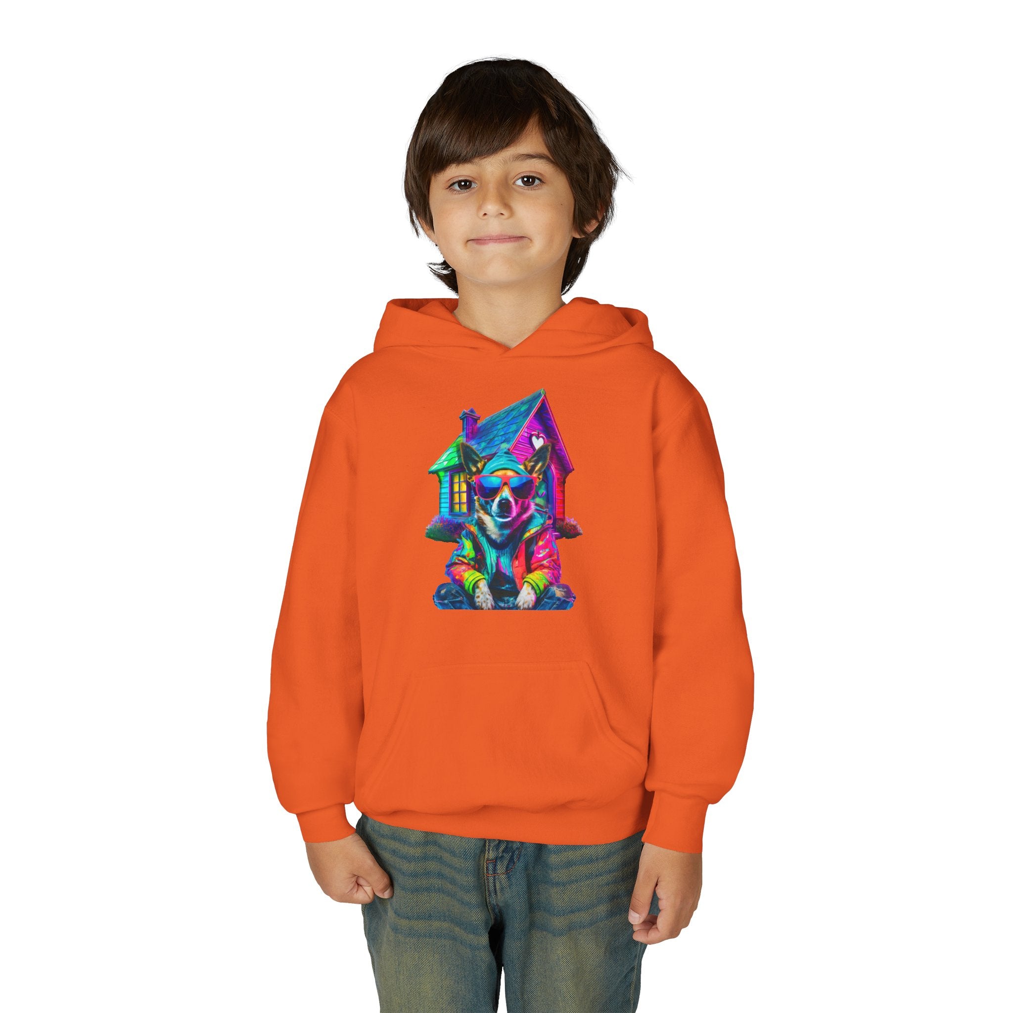 VYBZ Colorful Dog House Youth Hoodie