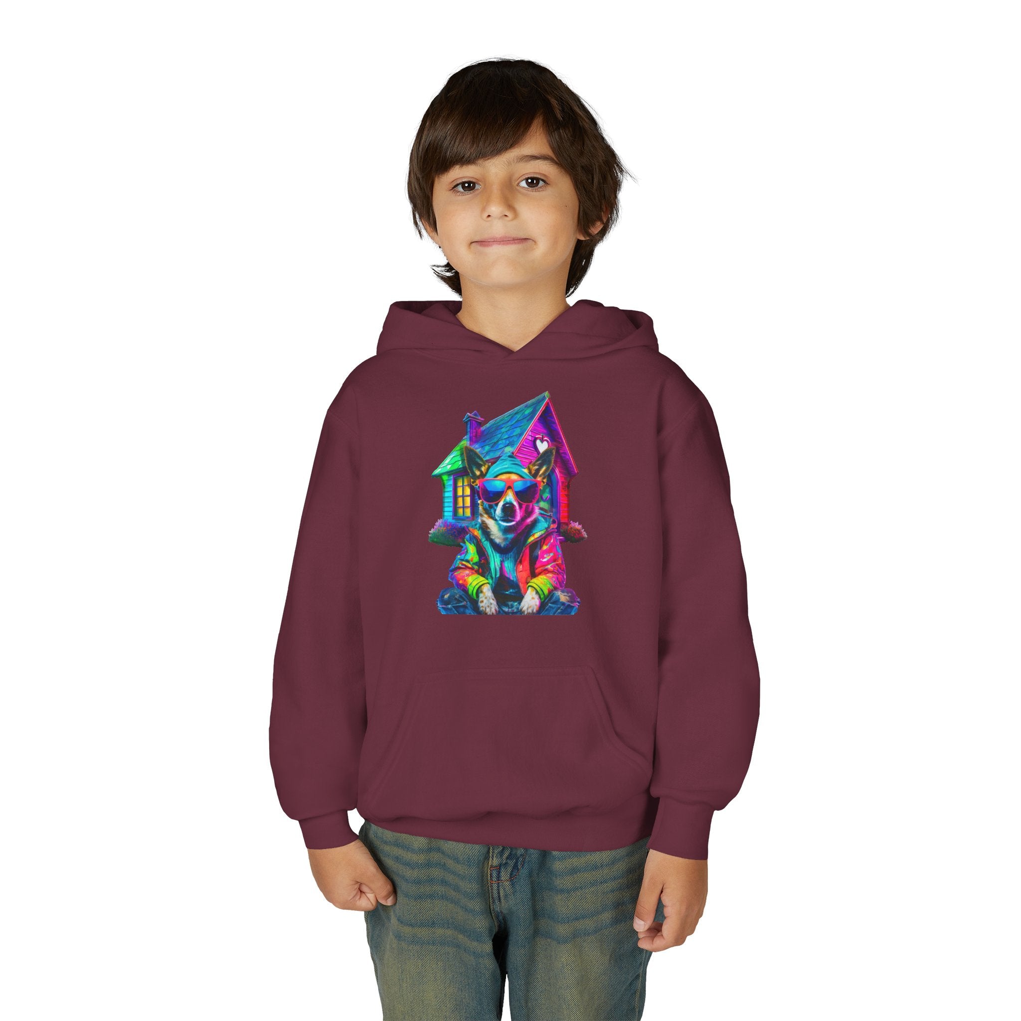 VYBZ Colorful Dog House Youth Hoodie