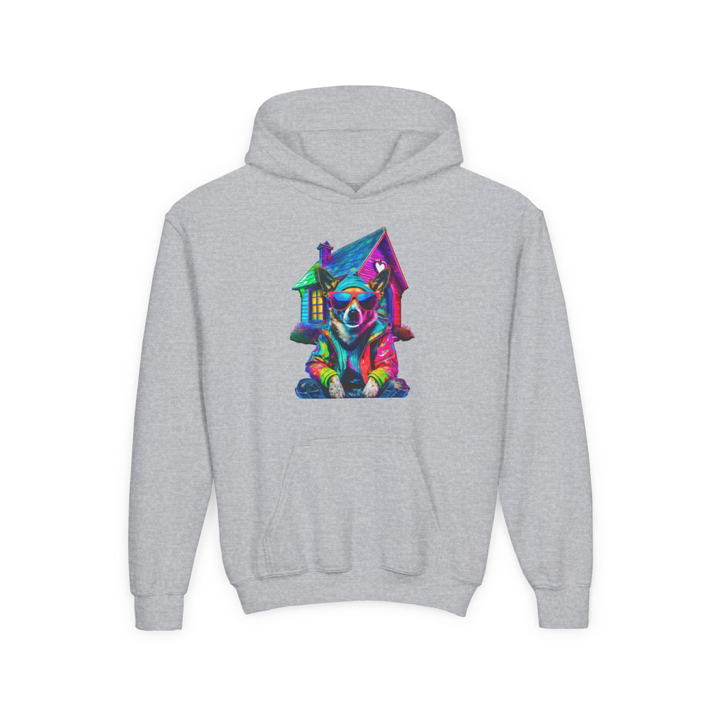VYBZ Colorful Dog House Youth Hoodie