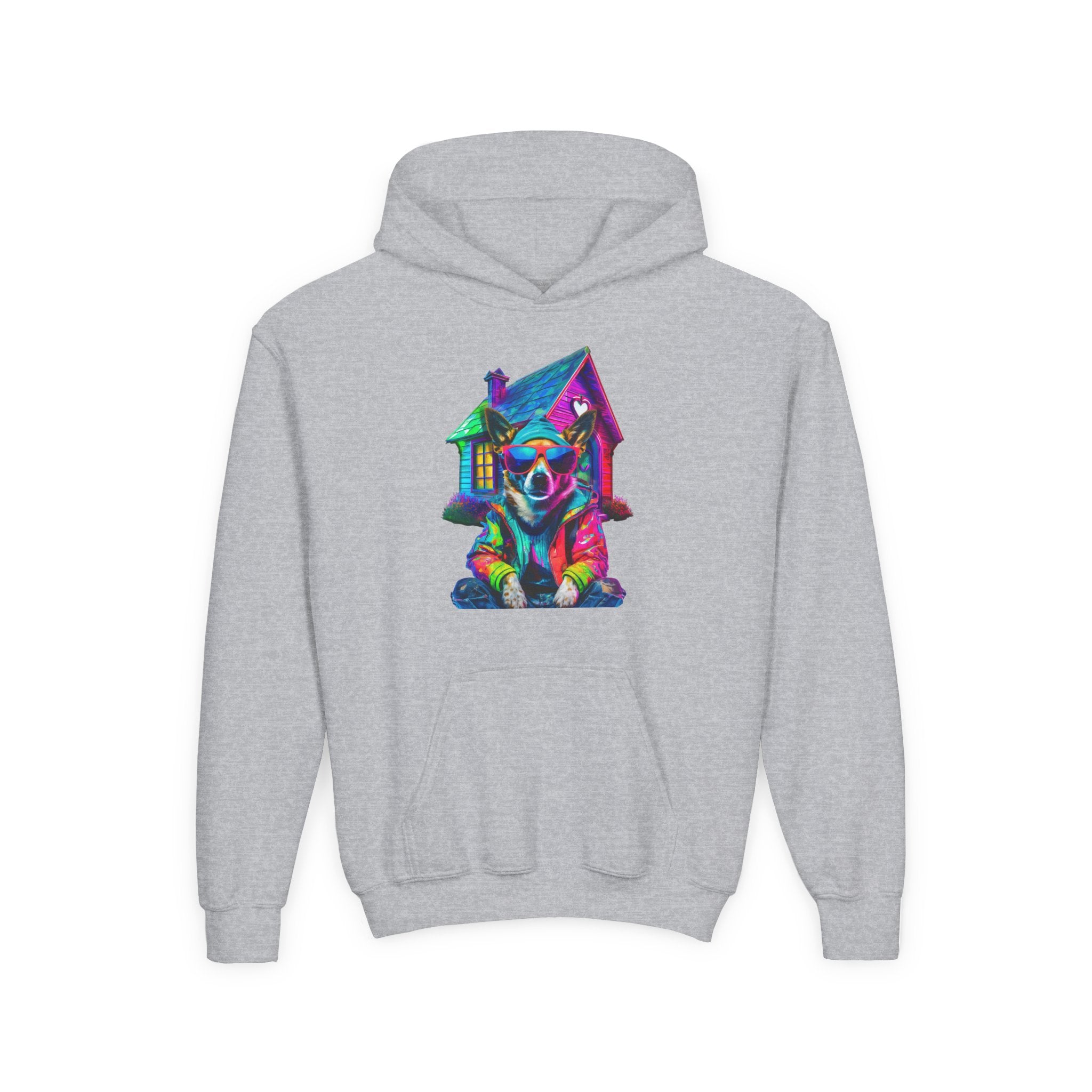 VYBZ Colorful Dog House Youth Hoodie
