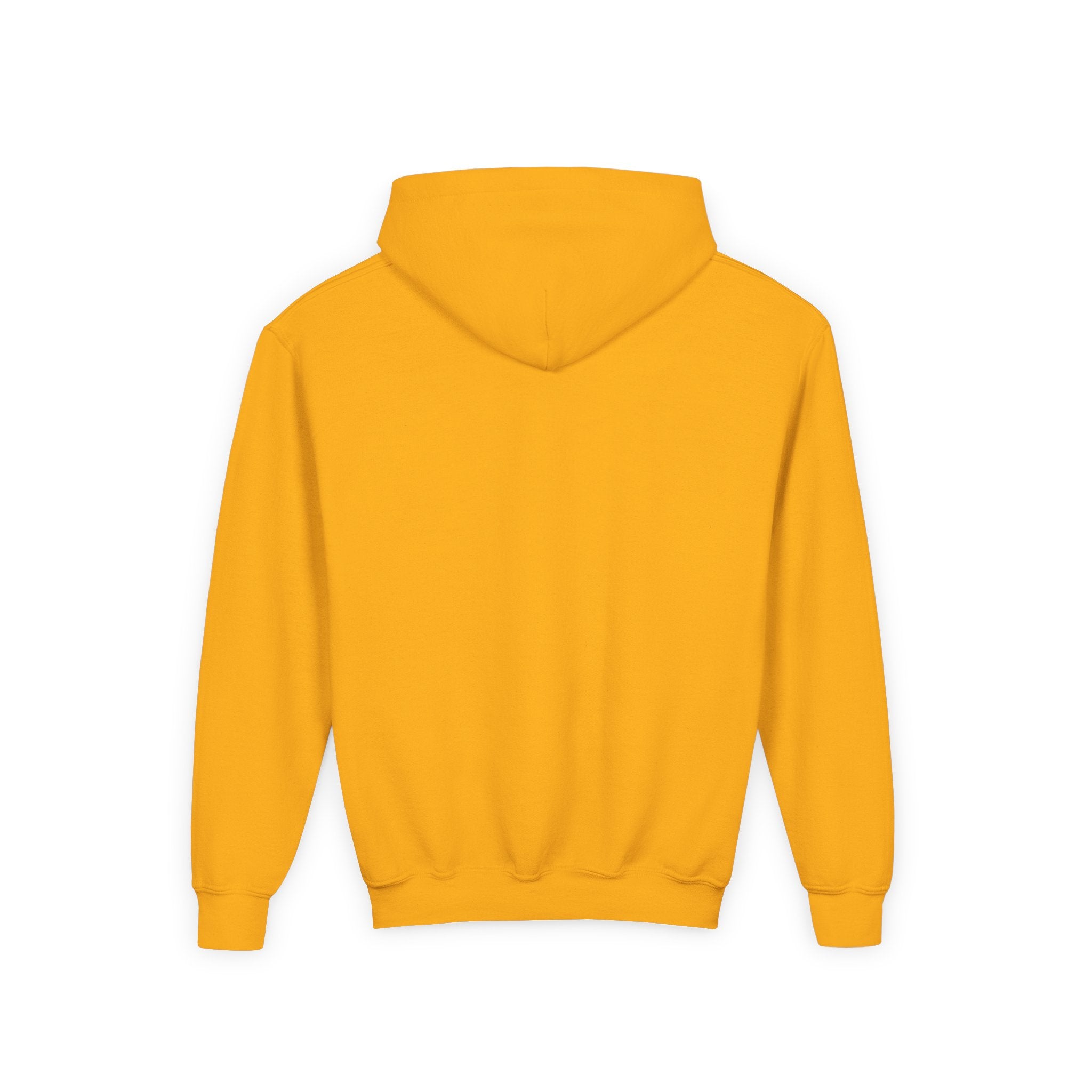 VYBZ Colorful Dog House Youth Hoodie
