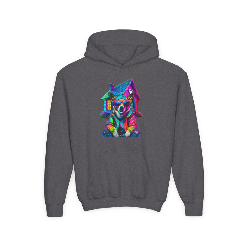 VYBZ Colorful Dog House Youth Hoodie