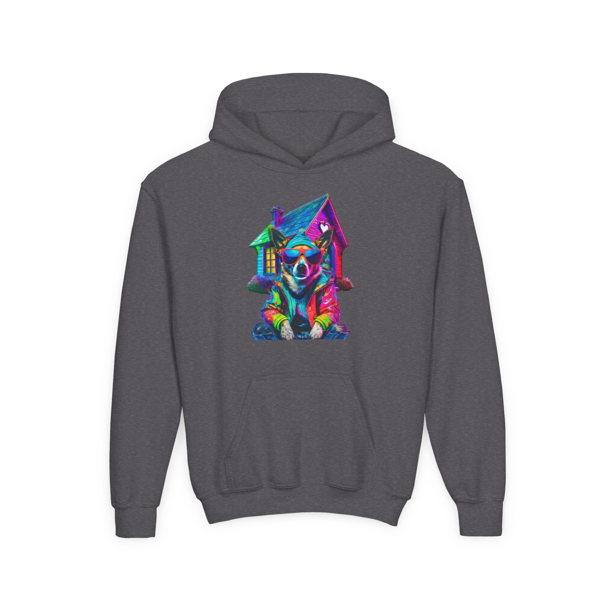 VYBZ Colorful Dog House Youth Hoodie