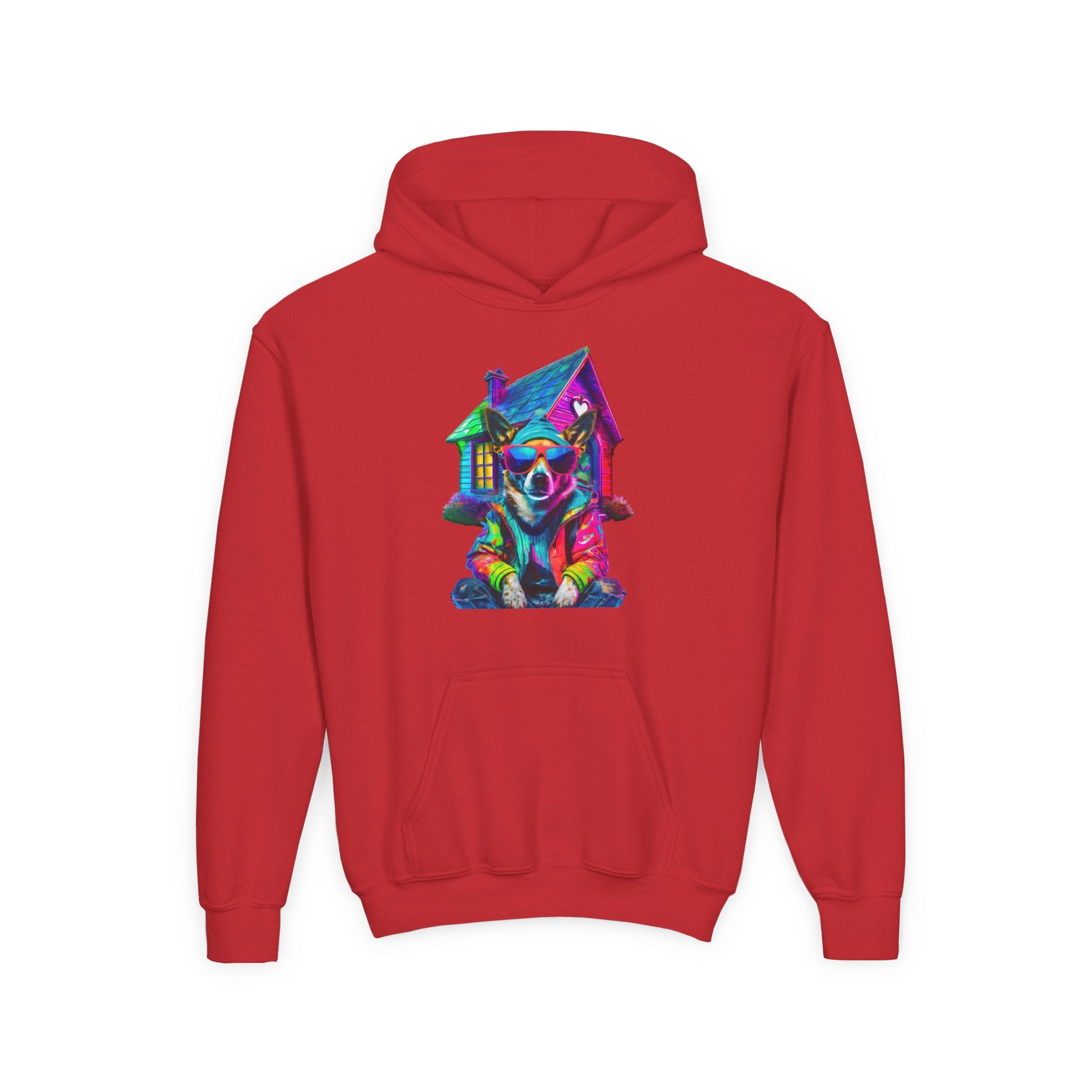 VYBZ Colorful Dog House Youth Hoodie