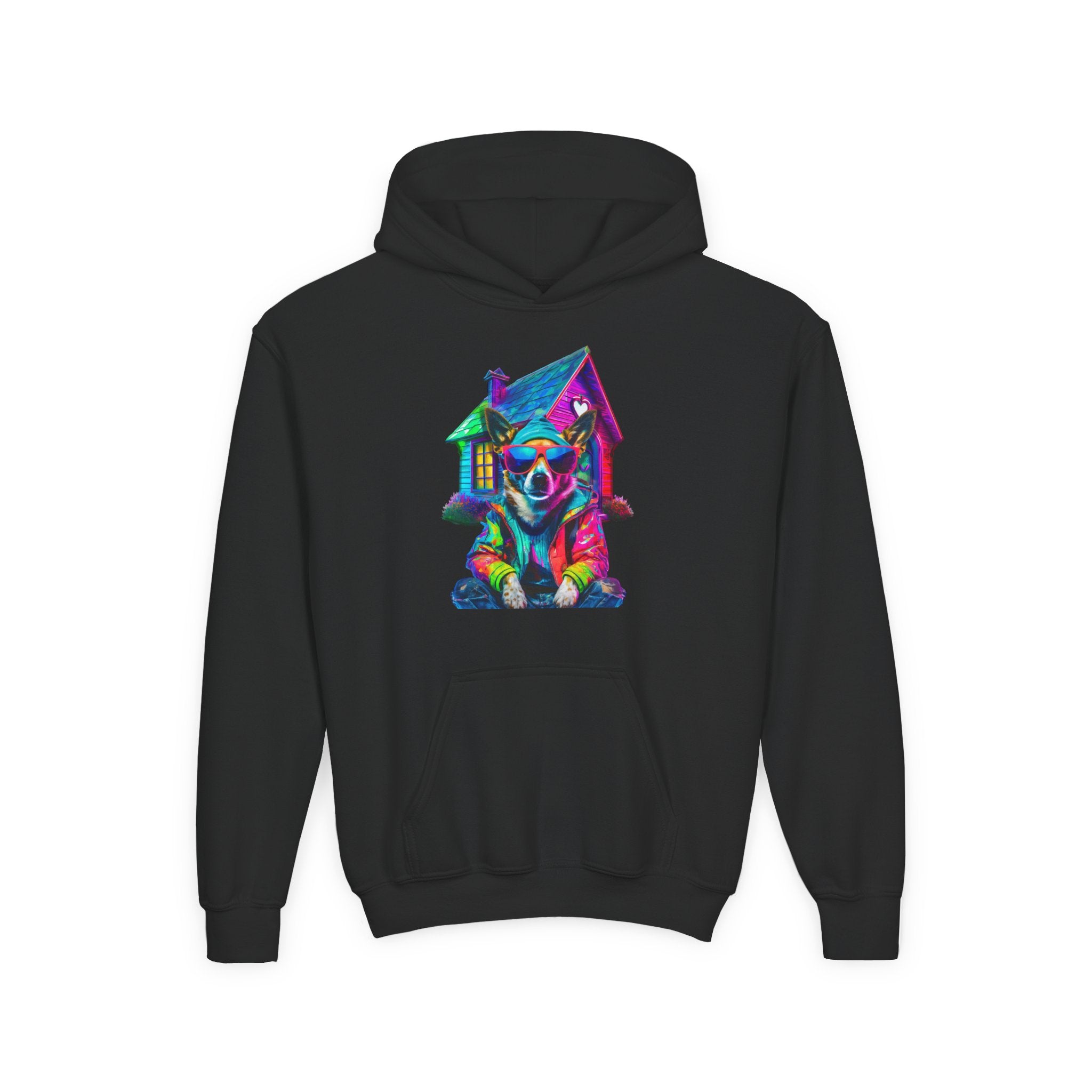 VYBZ Colorful Dog House Youth Hoodie