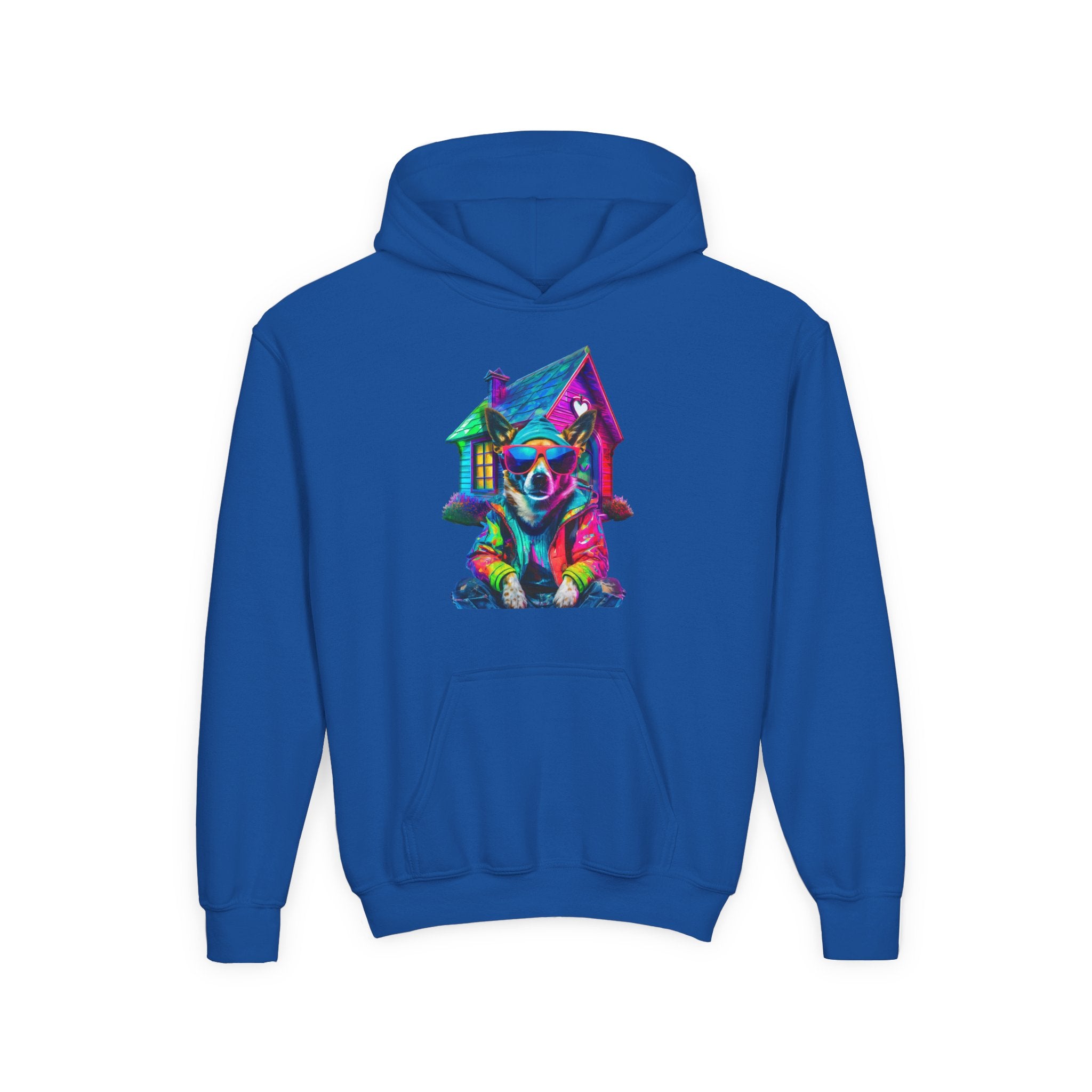 VYBZ Colorful Dog House Youth Hoodie