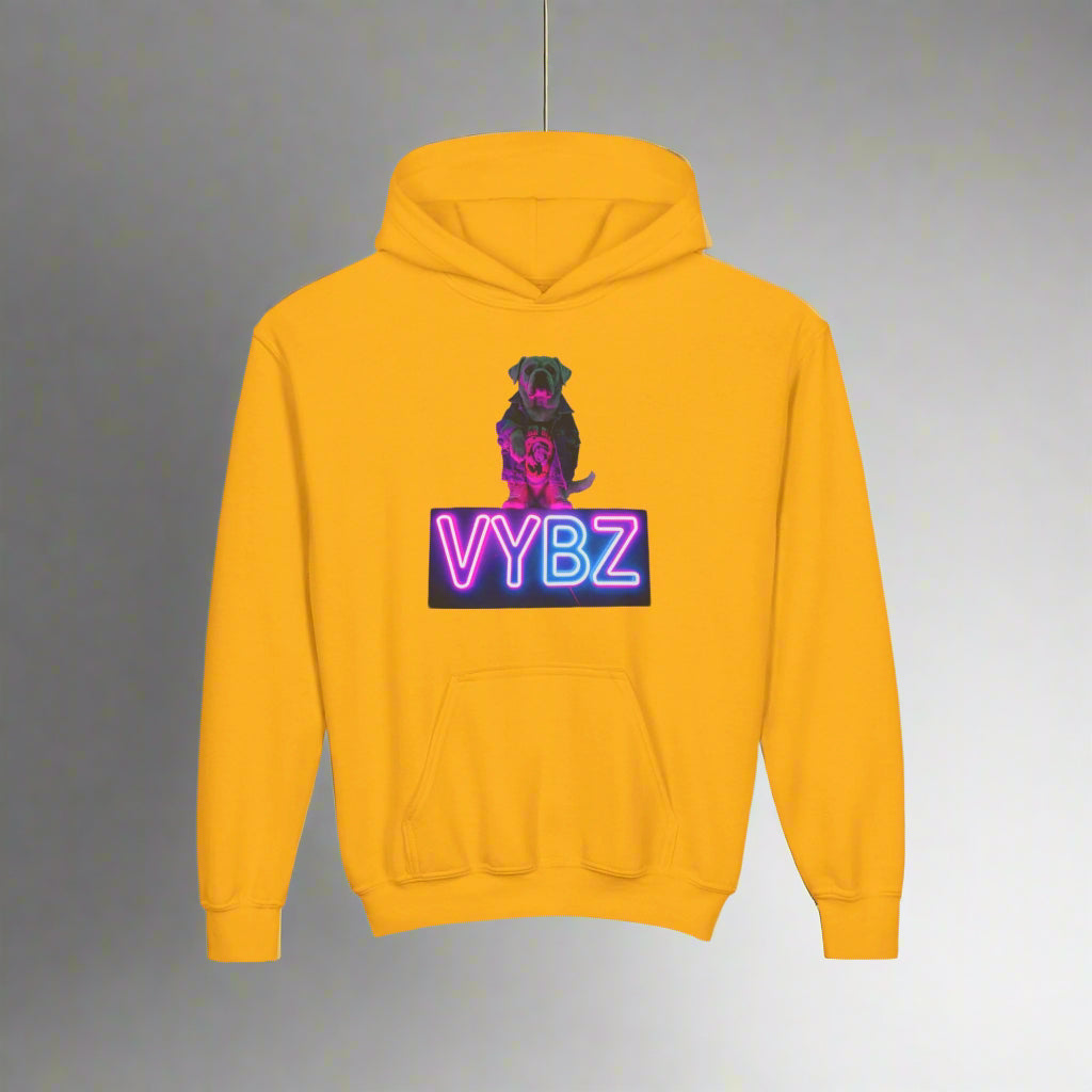 Youth Neon VYBZ Hooded Sweatshirt - Stylish, Comfortable, Gift for Teens, Streetwear, Party Wear, Cool Graphic Hoodie