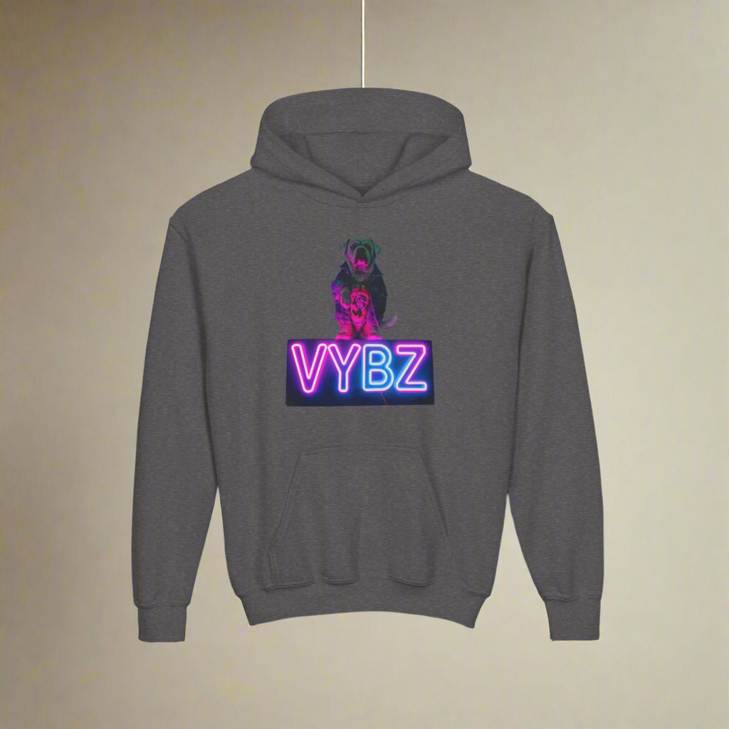 Youth Neon VYBZ Hooded Sweatshirt - Stylish, Comfortable, Gift for Teens, Streetwear, Party Wear, Cool Graphic Hoodie