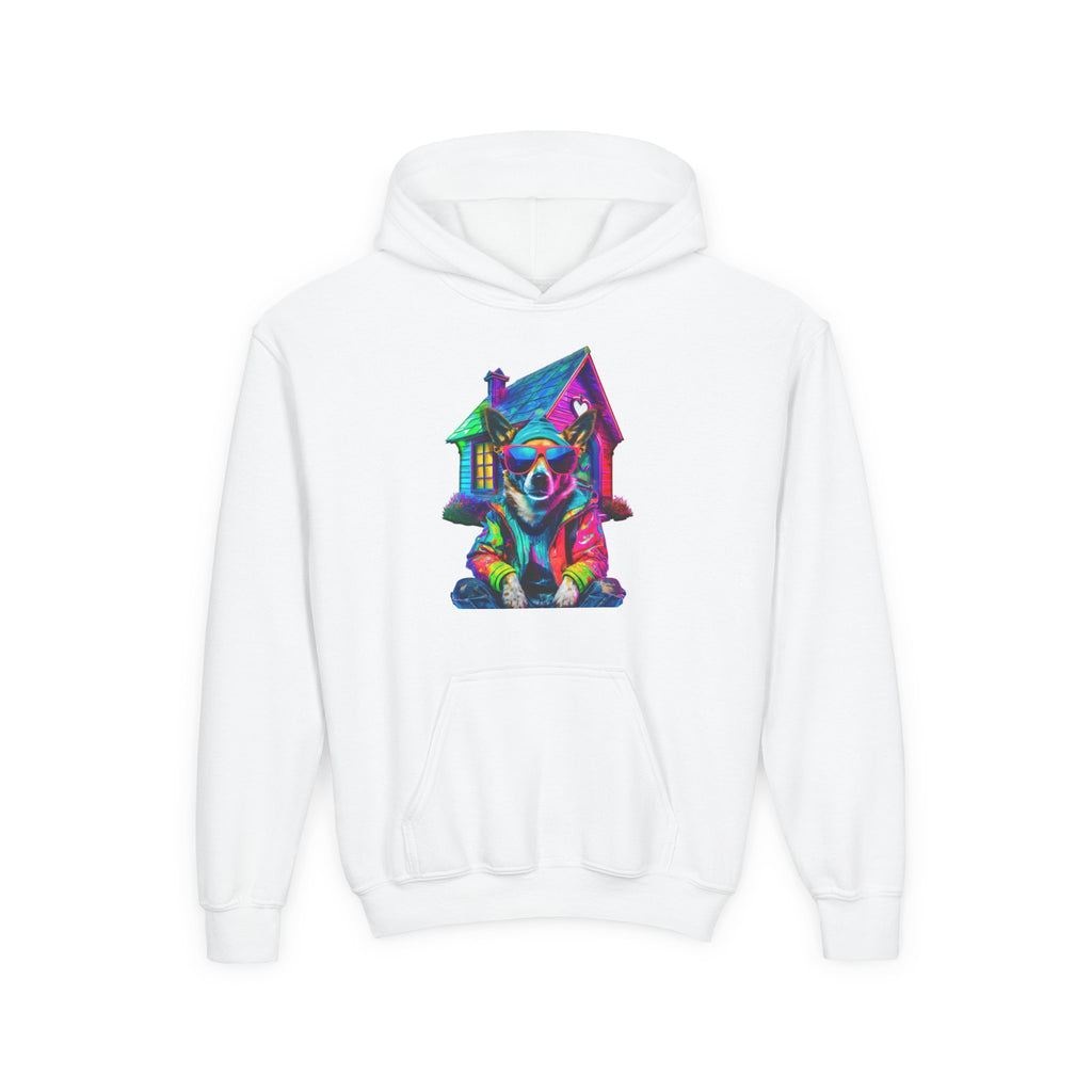 VYBZ Colorful Dog House Youth Hoodie