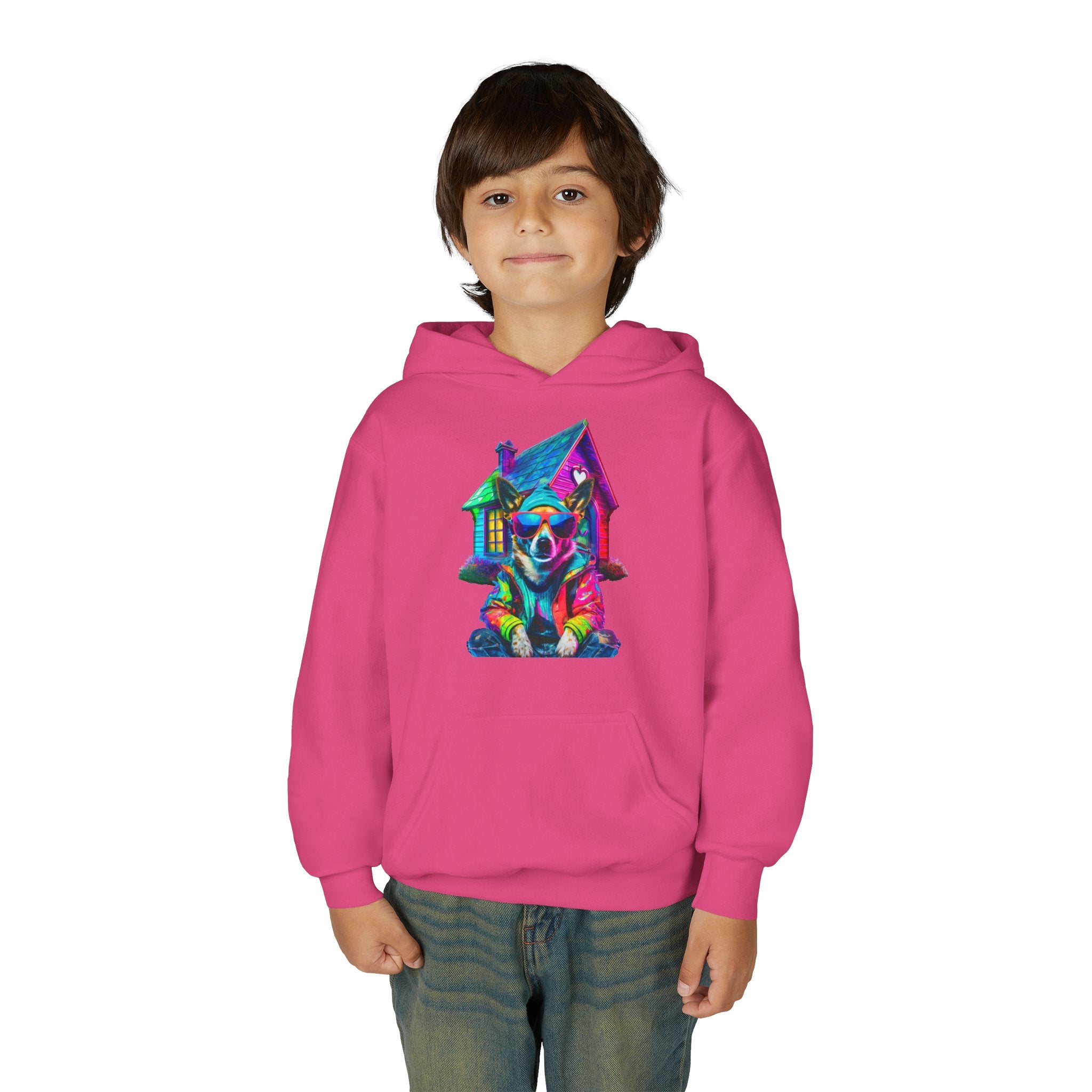 VYBZ Colorful Dog House Youth Hoodie