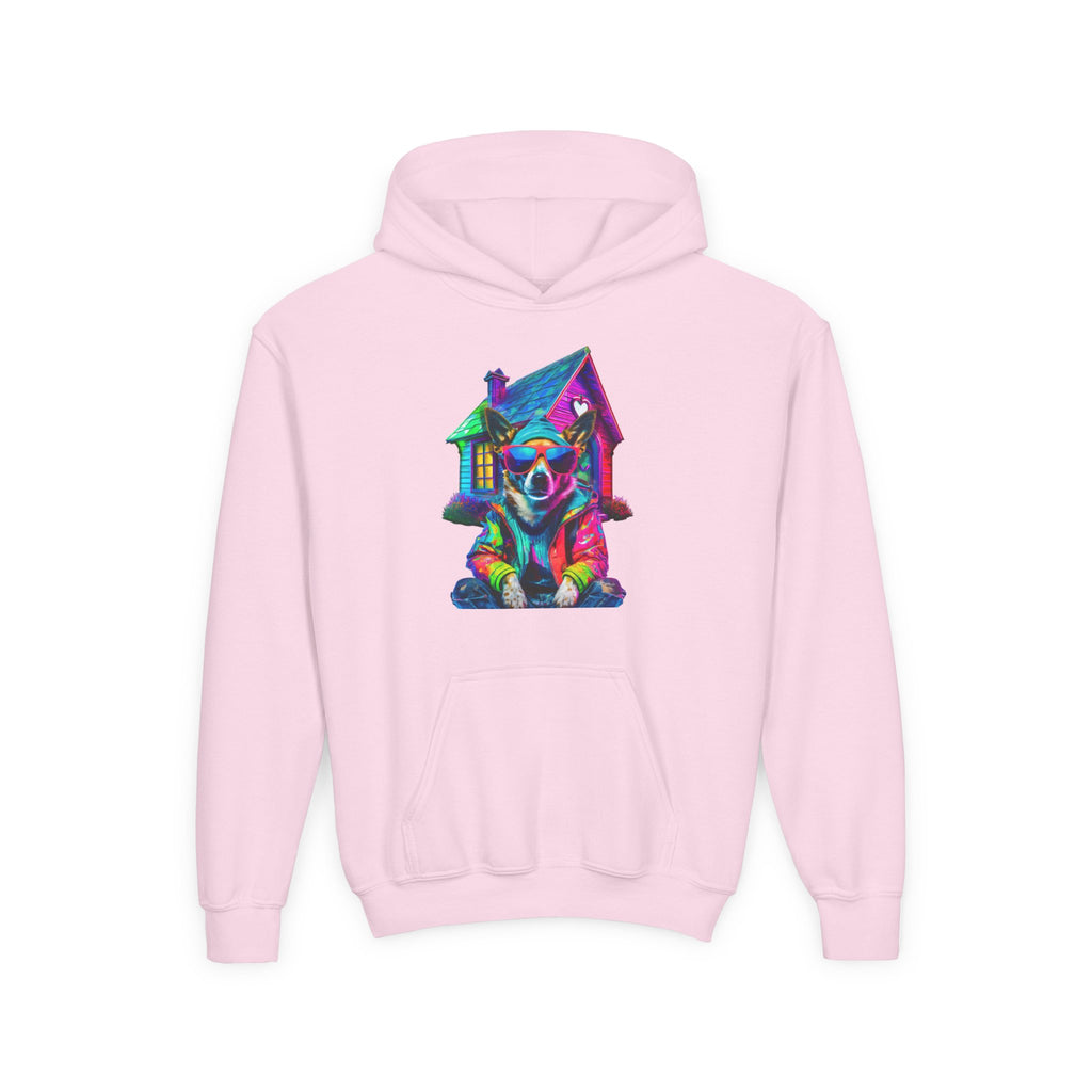 VYBZ Colorful Dog House Youth Hoodie