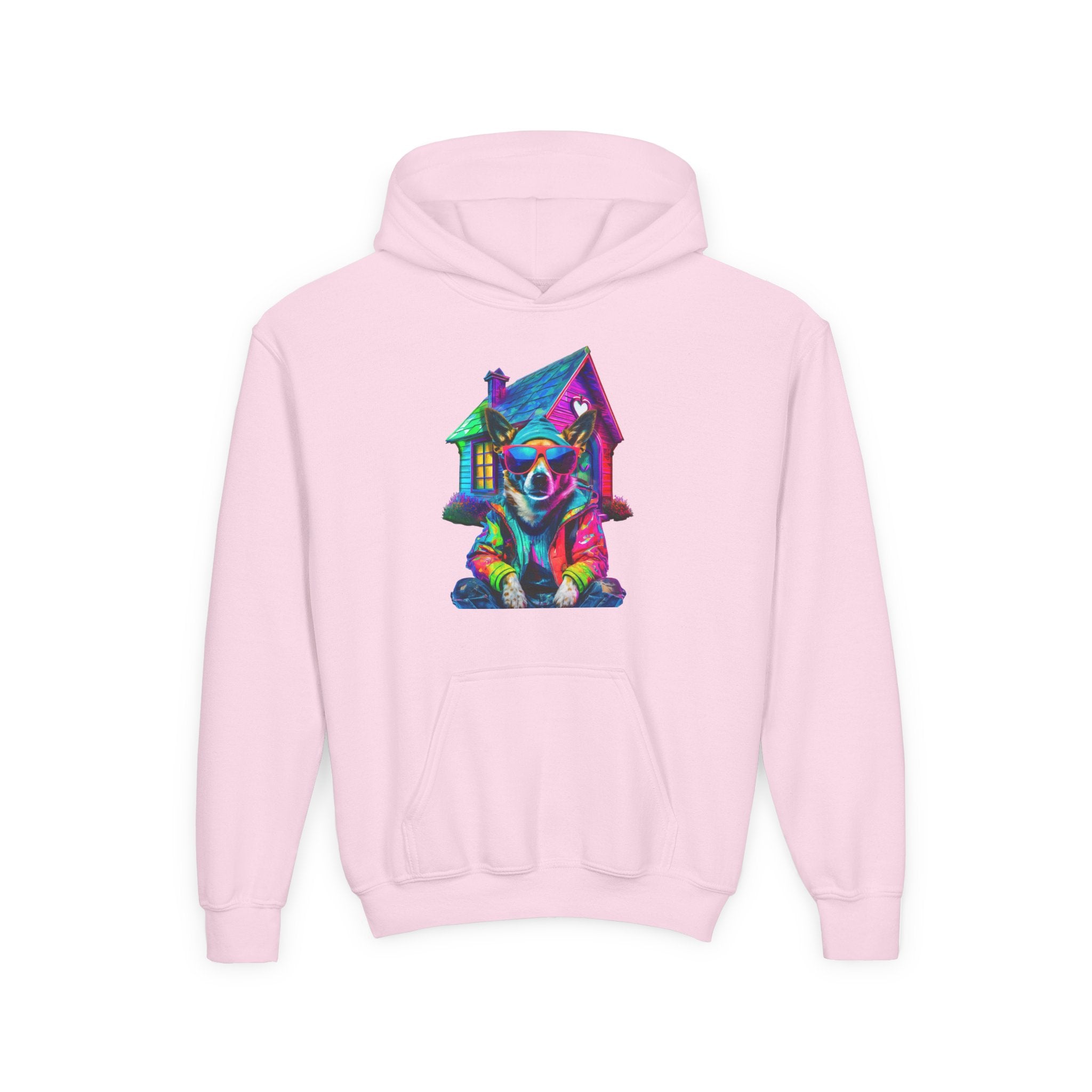 VYBZ Colorful Dog House Youth Hoodie