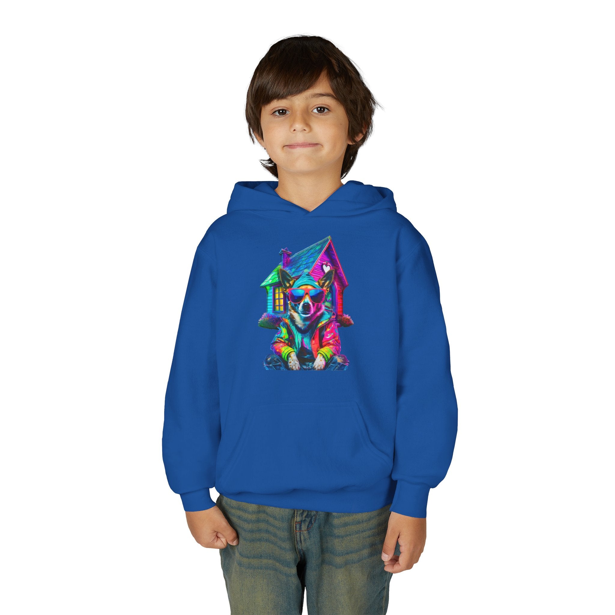 VYBZ Colorful Dog House Youth Hoodie