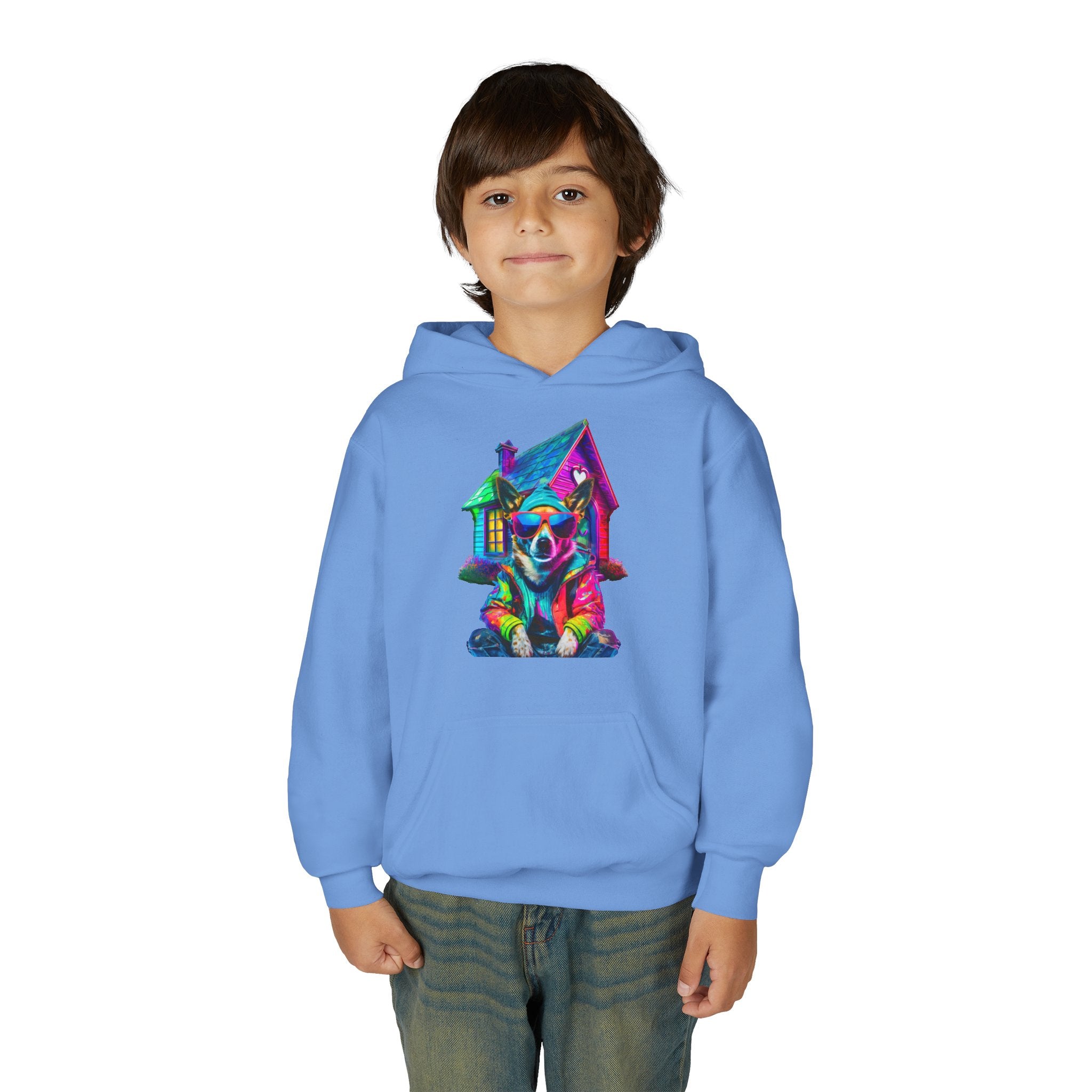VYBZ Colorful Dog House Youth Hoodie