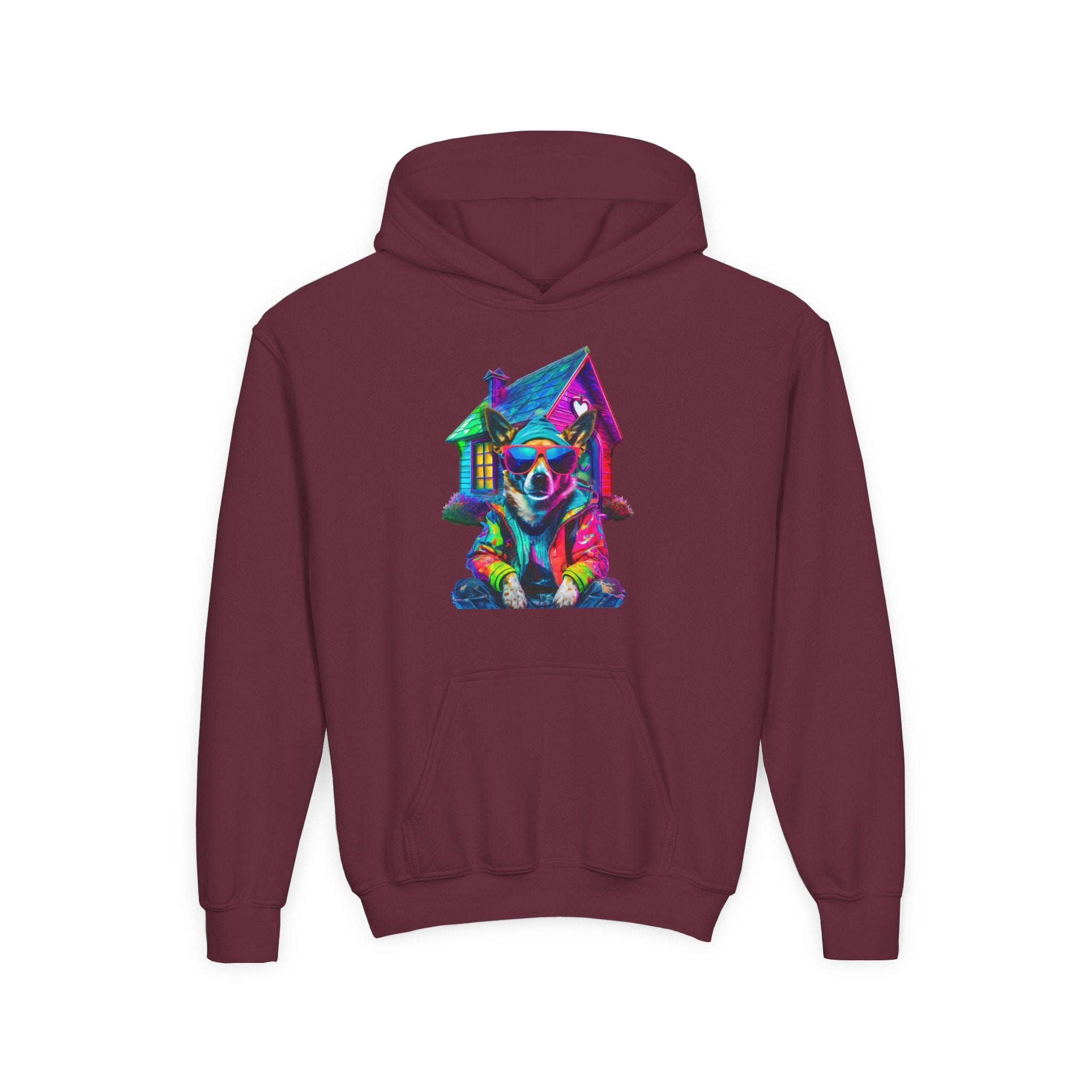 VYBZ Colorful Dog House Youth Hoodie