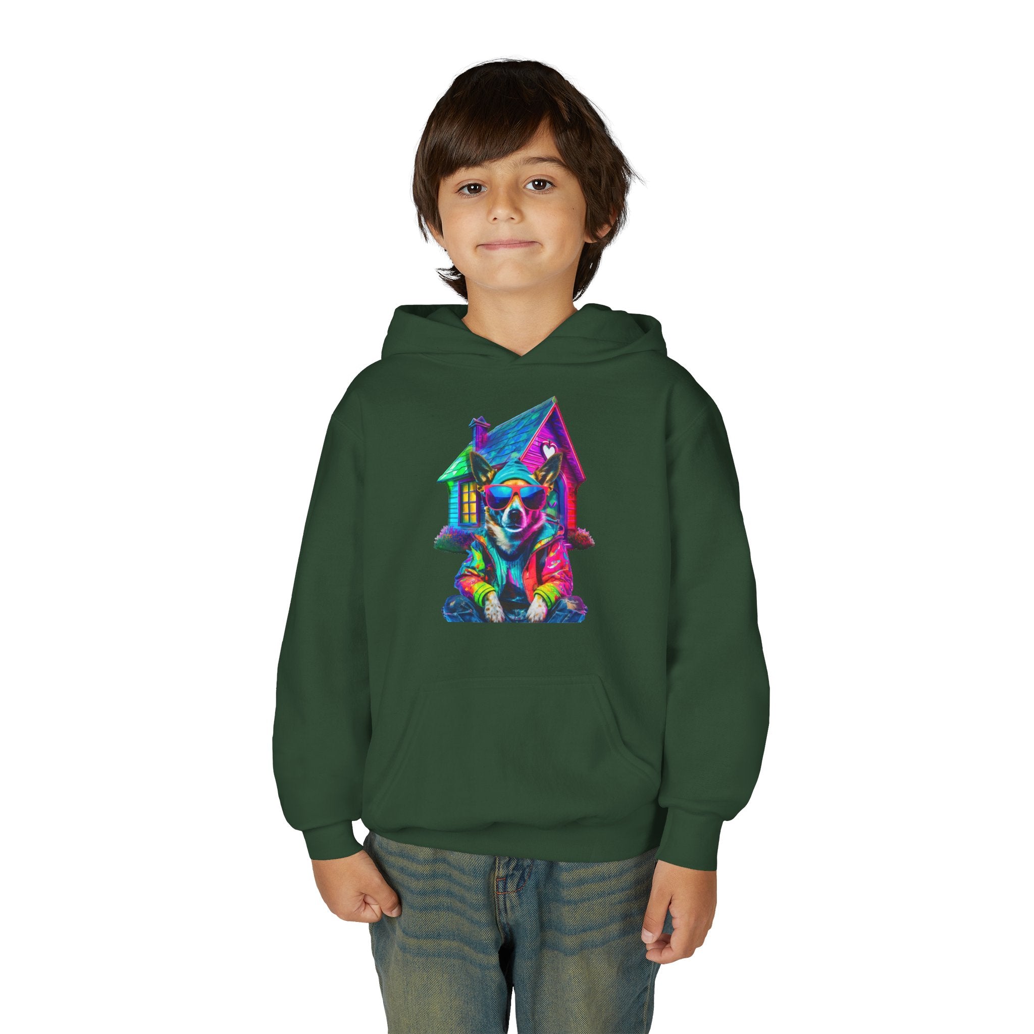 VYBZ Colorful Dog House Youth Hoodie