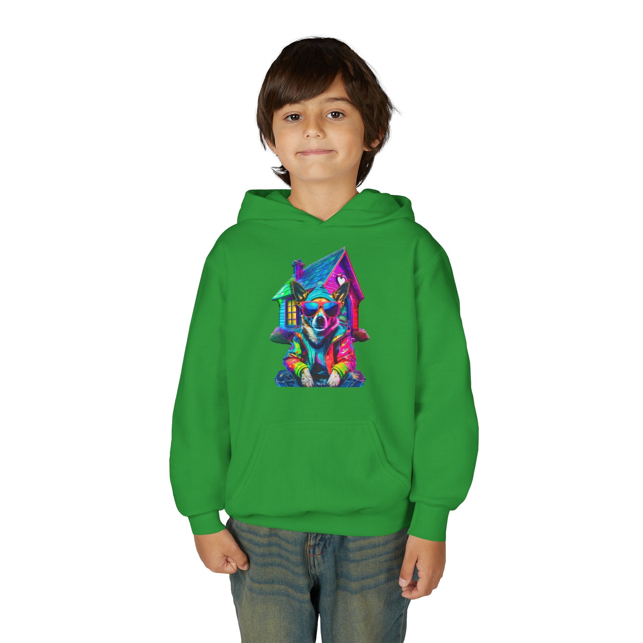 VYBZ Colorful Dog House Youth Hoodie