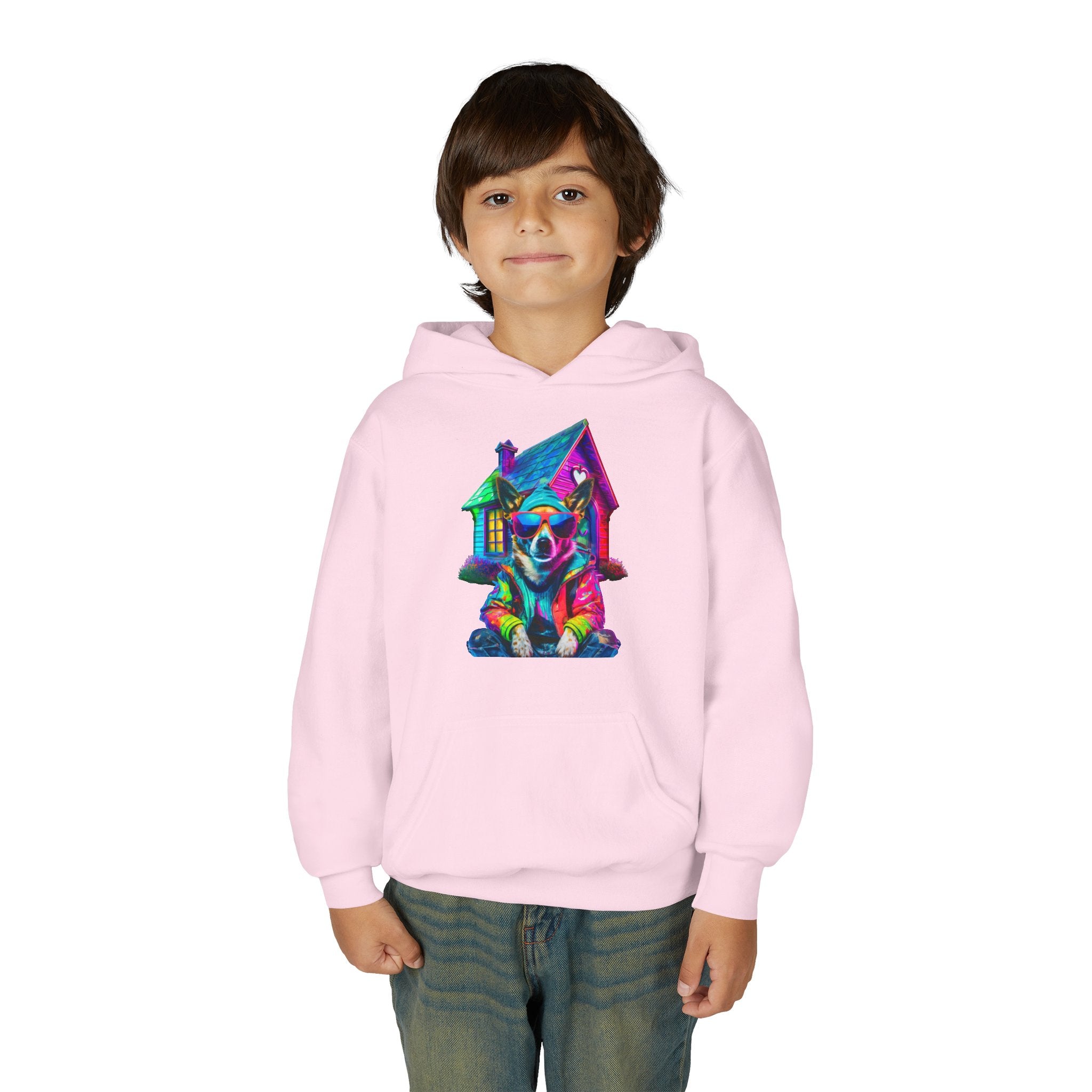 VYBZ Colorful Dog House Youth Hoodie