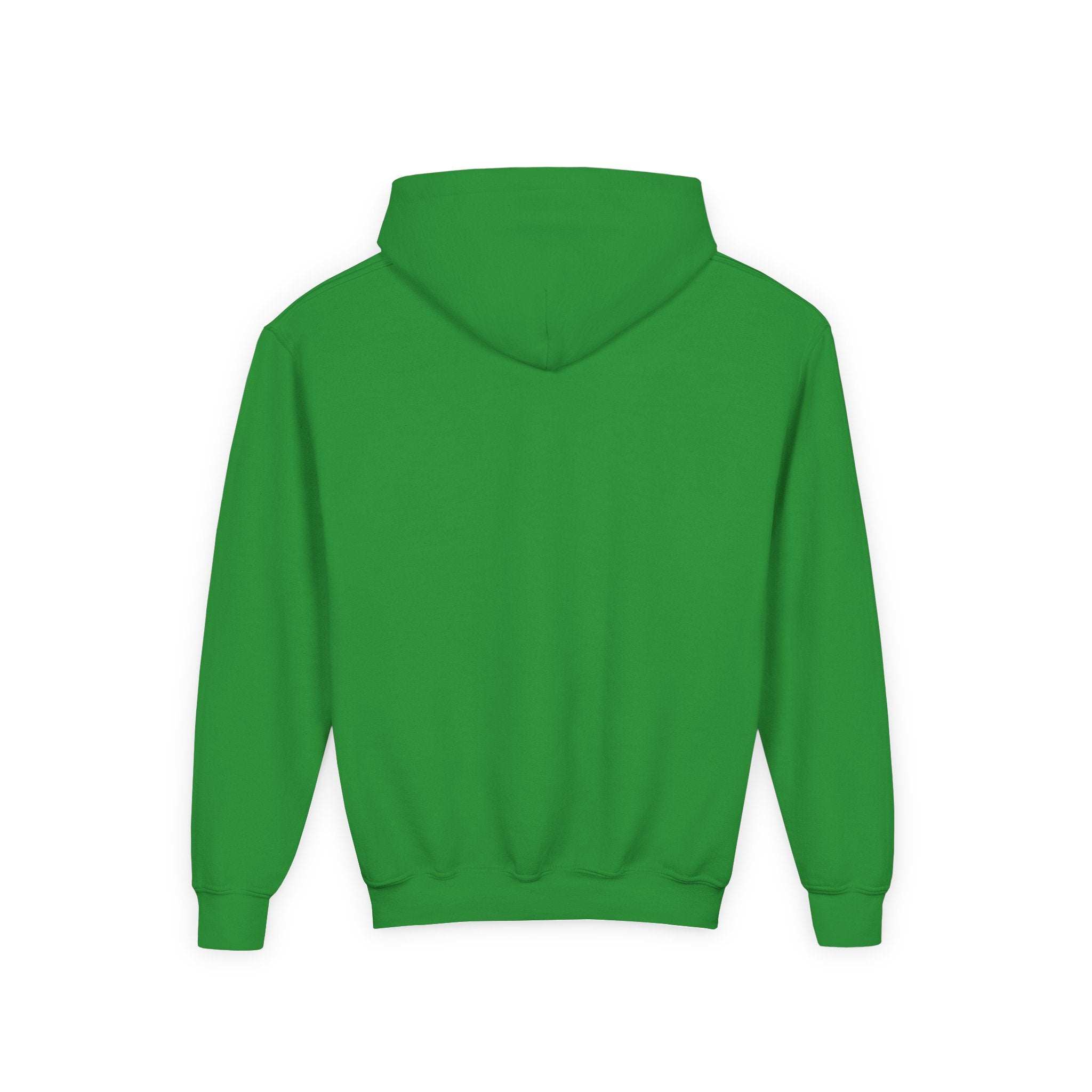 VYBZ Colorful Dog House Youth Hoodie