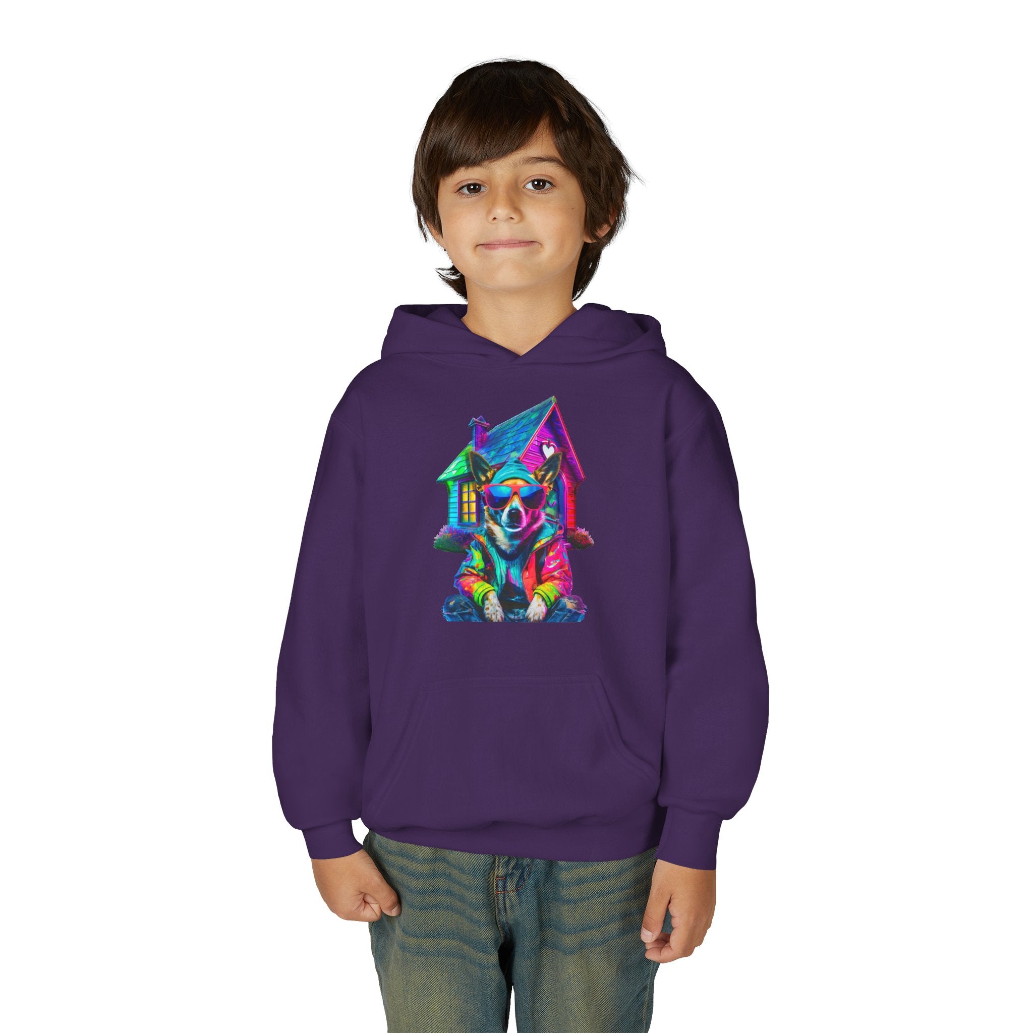 VYBZ Colorful Dog House Youth Hoodie