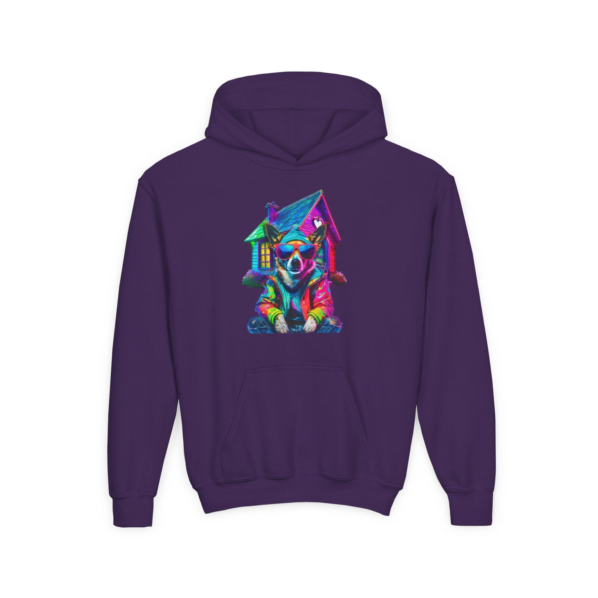VYBZ Colorful Dog House Youth Hoodie