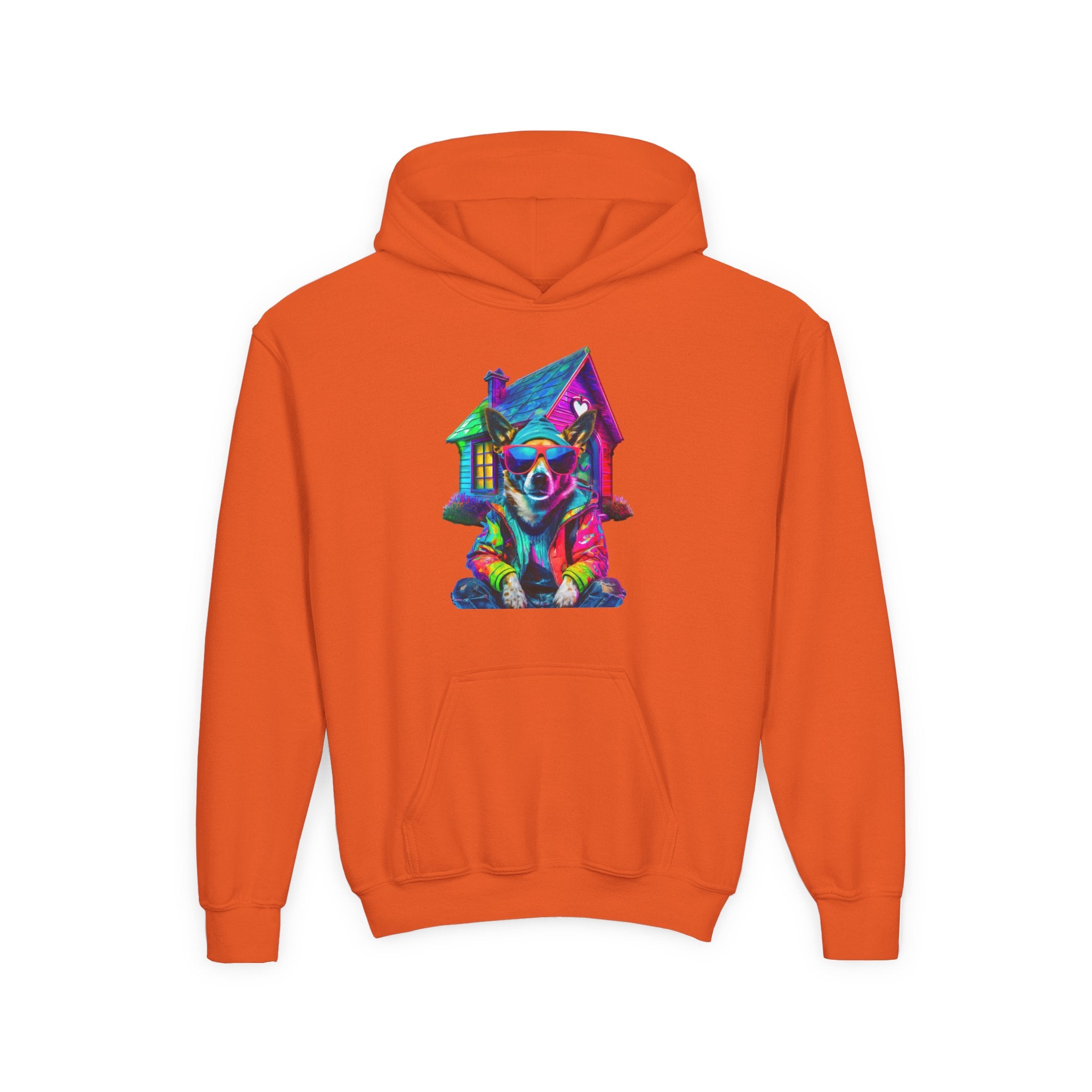 VYBZ Colorful Dog House Youth Hoodie