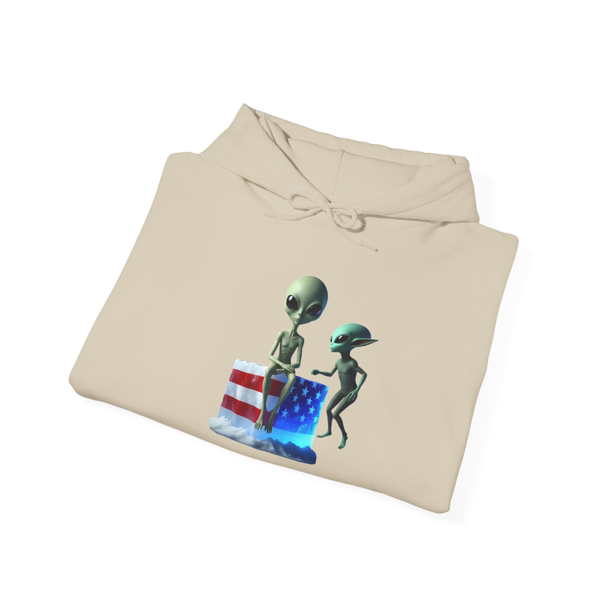 VYBZ "Alien Friends" Hoodie