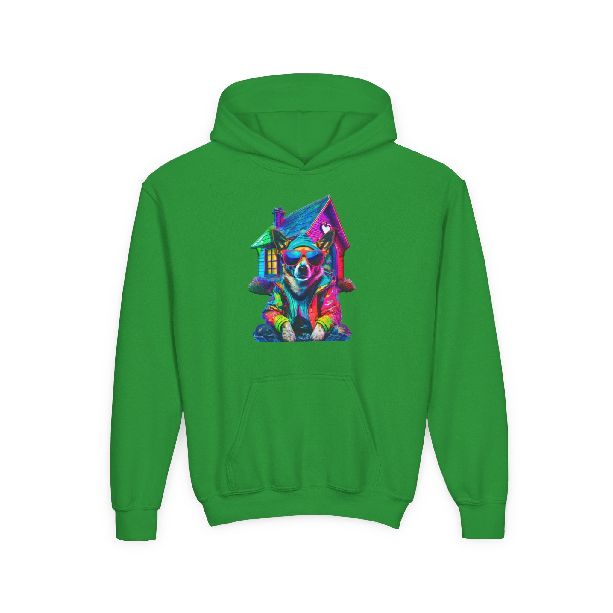 VYBZ Colorful Dog House Youth Hoodie