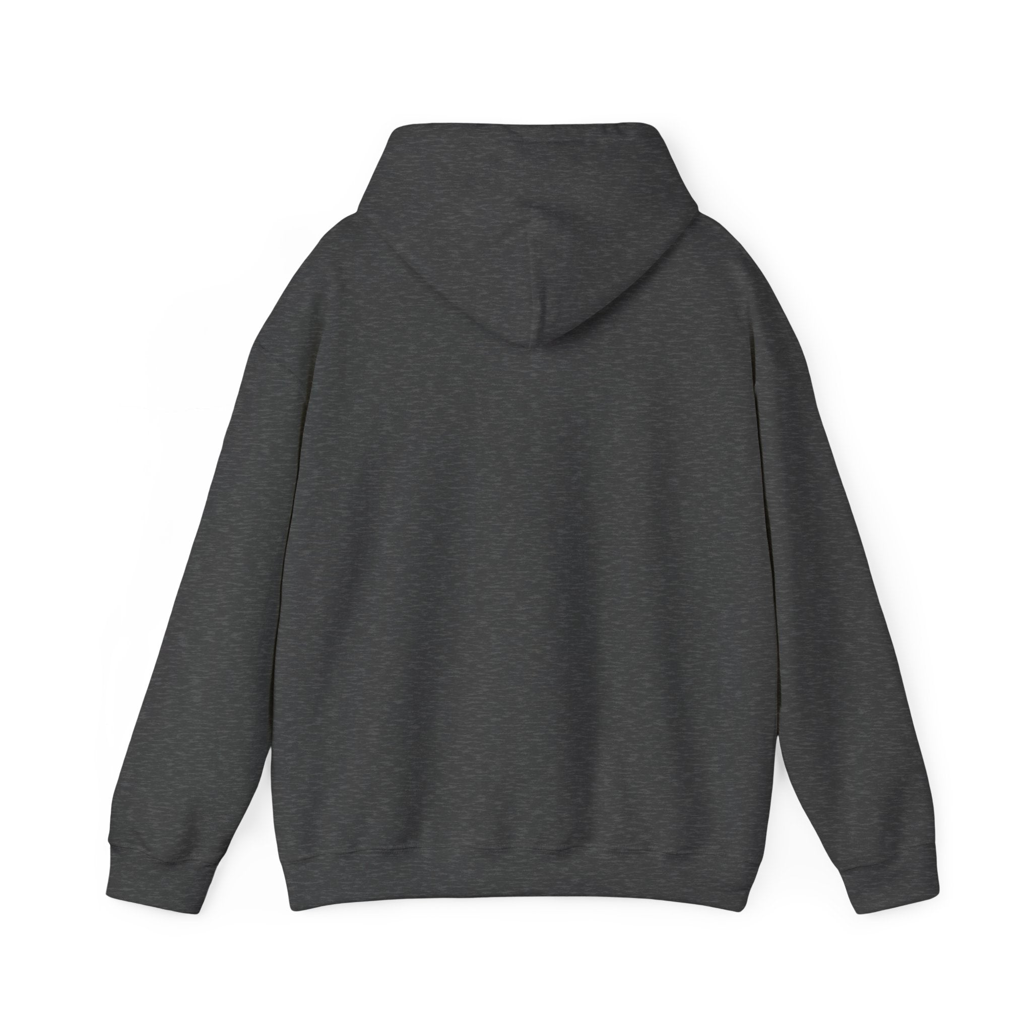 Digital Plug Unisex Hoodie